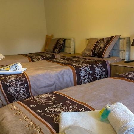 Hotel Tsiskari 泰拉维 外观 照片