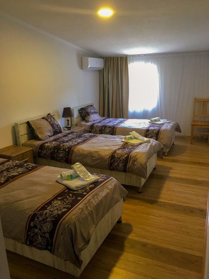 Hotel Tsiskari 泰拉维 外观 照片
