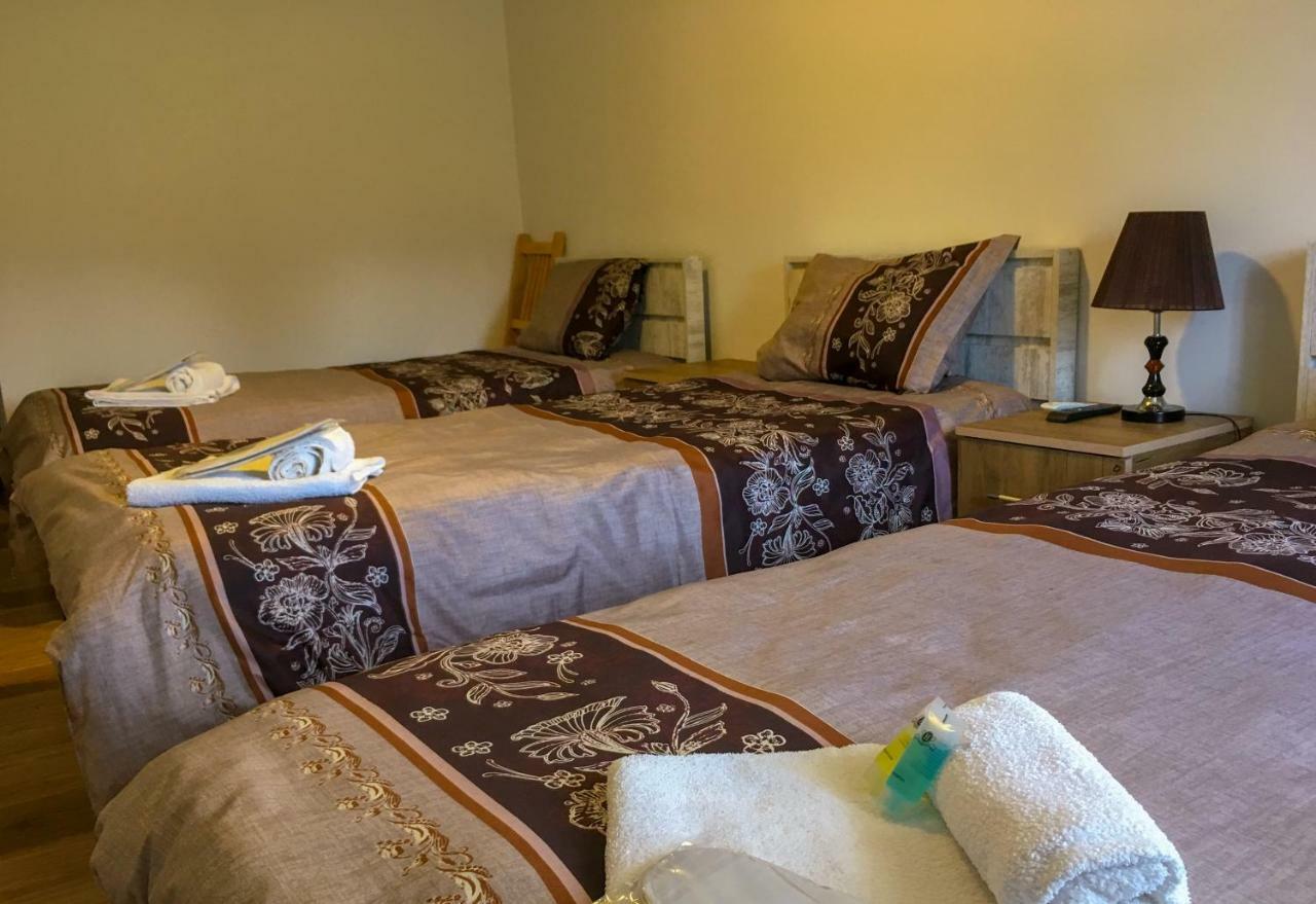 Hotel Tsiskari 泰拉维 外观 照片